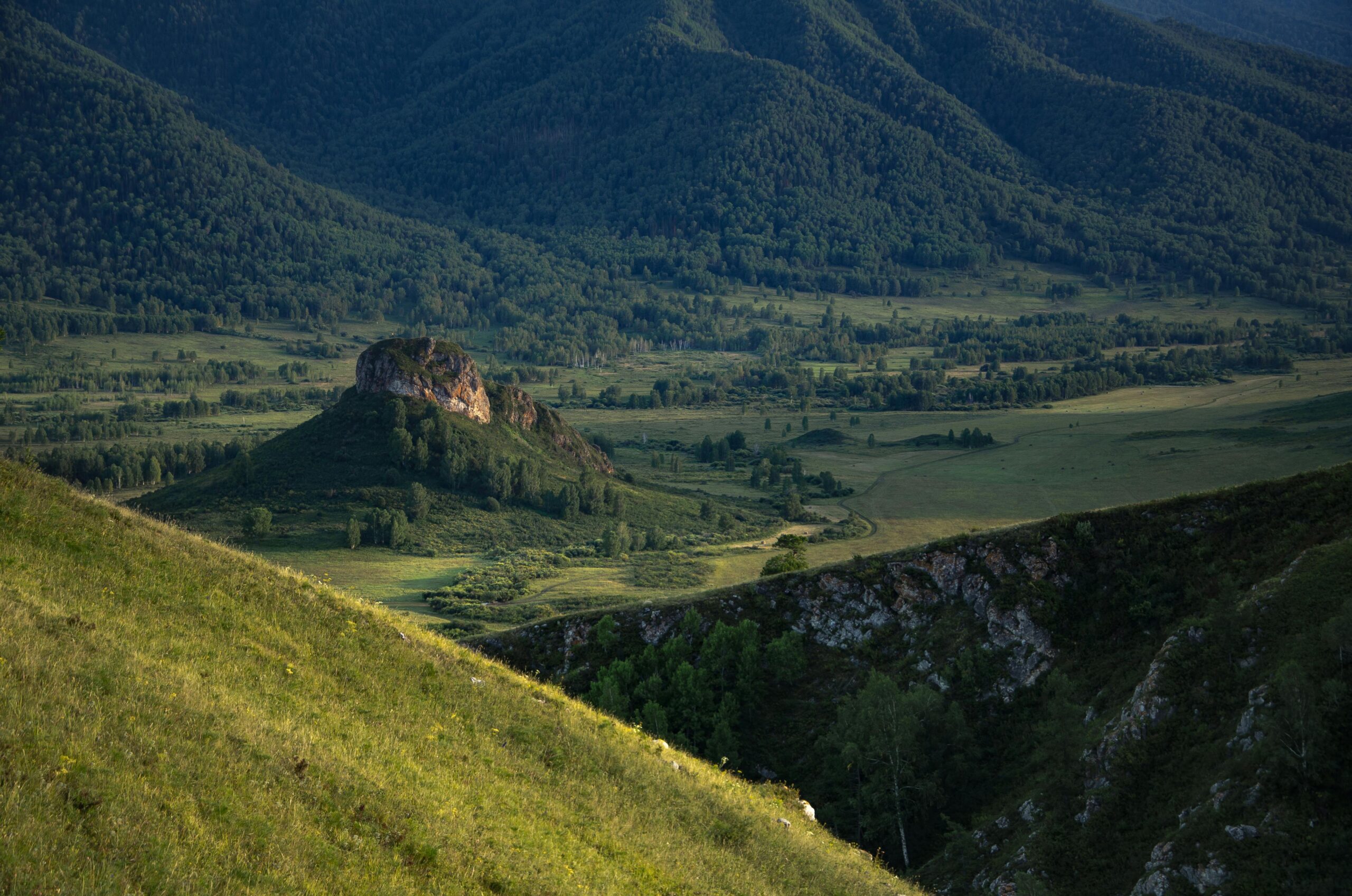 Breathtaking view of Altai's green valleys and hills during summer, perfect for nature lovers.